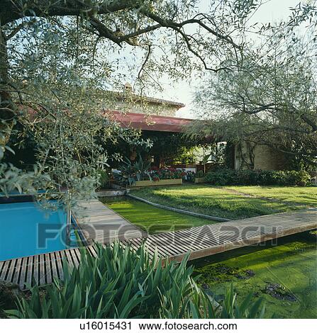 Rectangular pond and decking in Italian country garden in summer View Large Photo Image Stock Image - Rectangular pond and decking in Italian country garden in summer. Fotosearch
