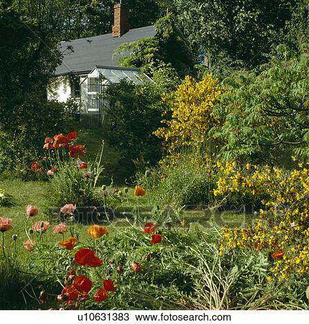 Cottage Garden Flower Borders | Best Flower Site