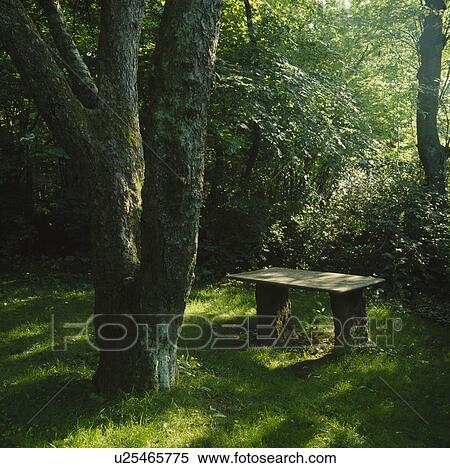 Stock Photography - Rustic stone bench in on lawn in shady country garden in summer. Fotosearch