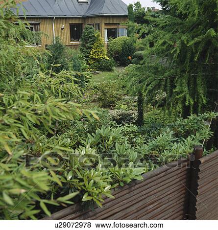 Shrubs in front garden of modern house View Large Photo Image Stock Photo - Shrubs in front garden of modern house. Fotosearch