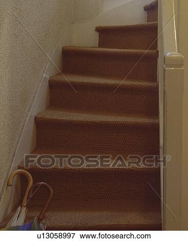 Stock Photo - Sisal carpet on cream staircase. Fotosearch
