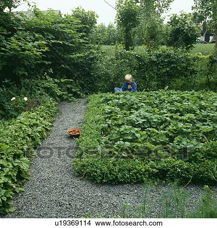 Picture - Small boy in green country garden. Fotosearch