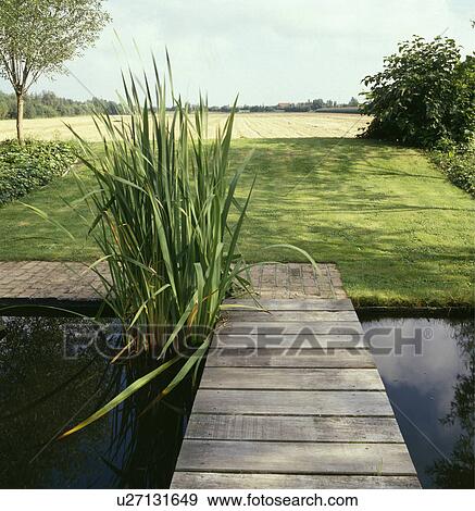 Small rectangular pond with decking bridge in country garden View Large Photo Image Stock Photo - Small rectangular pond with decking bridge in country garden. Fotosearch