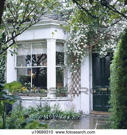 Small town front garden with spring flowering clematis and bluebells under a baywindow  View Large Photo Image Stock Image - Small town front garden with spring flowering clematis and bluebells under a baywindow . Fotosearch