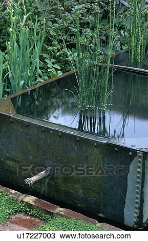Stock Image - Small water feature in old tank in country garden. Fotosearch