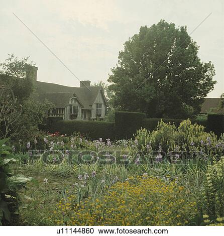 Spring plants in front of clipped hedge in country garden View Large Photo Image Stock Image - Spring plants in front of clipped hedge in country garden. Fotosearch