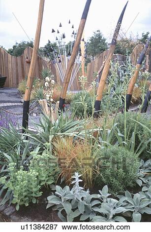 Stock Photo - Stachys and grasses with yucca and sedum in garden border in front of modern pole sculpture. Fotosearch