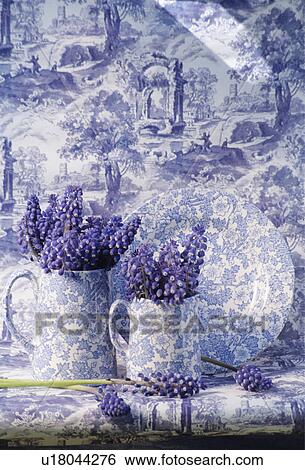 Stock Photograph - Still-Life of blue muscari and blue+white jugs. Fotosearch