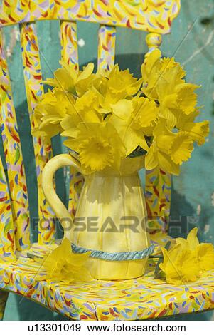 Stock Photo - Still-Life of daffodils in yellow jug on chair. Fotosearch