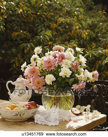 Stock Photo - Still-Life of floral arrangement of pink and white dahlias. Fotosearch