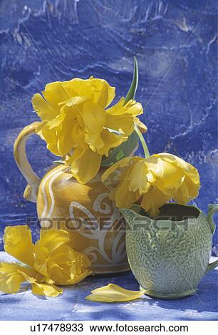 Still-Life of jugs and yellow tulips View Large Photo Image Stock Image - Still-Life of jugs and yellow tulips. Fotosearch