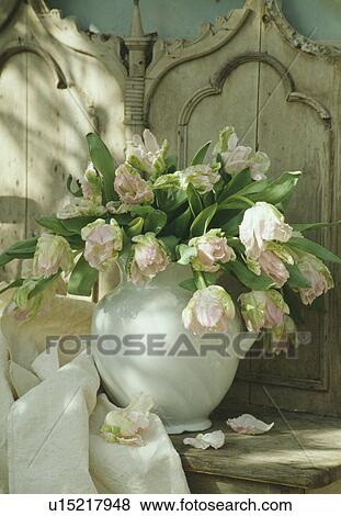Stock Photo - Still-Life of pink tulips in jug. Fotosearch