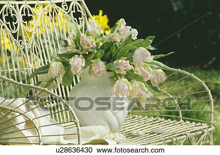Still-Life of pink tulips in white jug View Large Photo Image Stock Image - Still-Life of pink tulips in white jug. Fotosearch