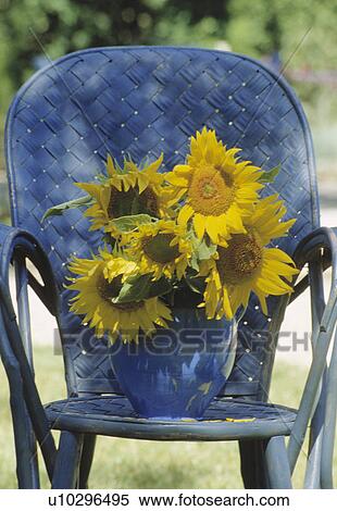 Still-life of sunflowers in vase View Large Photo Image Stock Photography - Still-life of sunflowers in vase. Fotosearch