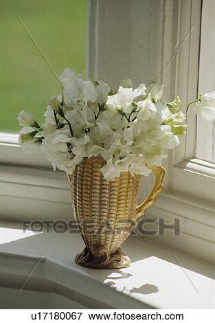 Stock Photo - Still-Life of white sweetpeas in vase. Fotosearch