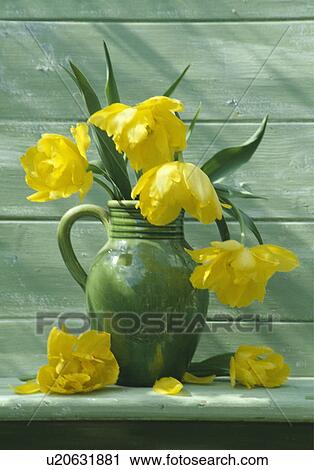 Download Still Life Of Yellow Tulips In Green Jug Stock Image U20631881 Fotosearch PSD Mockup Templates