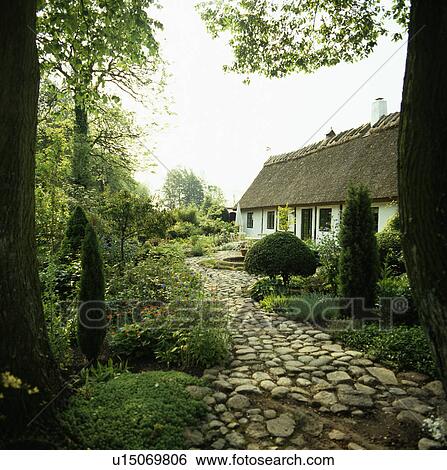 Stone cobble path through trees to thatched white cottage View Large Photo Image Stock Photograph - Stone cobble path through trees to thatched white cottage. Fotosearch