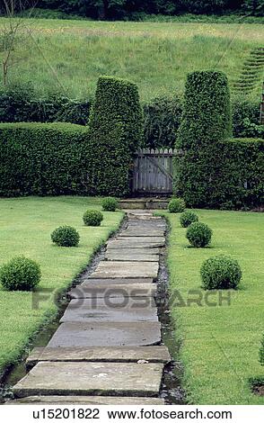 Stone path and topiary balls in large country garden with clipped hedge View Large Photo Image Stock Image - Stone path and topiary balls in large country garden with clipped hedge. Fotosearch