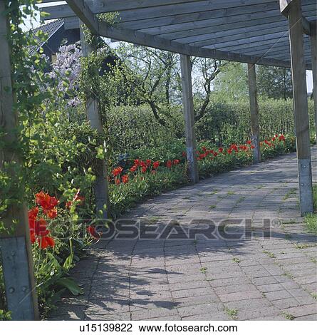 Stock Image - Stone paved path and red poppies below wooden pergola in country garden in summer. Fotosearch