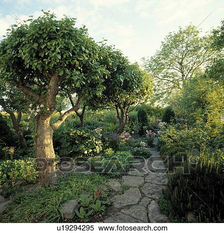 Stone paving in country garden View Large Photo Image Stock Photography - Stone paving in country garden. Fotosearch