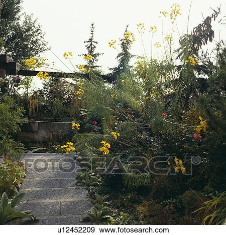 Stone paving in large country garden in summer View Large Photo Image Stock Photo - Stone paving in large country garden in summer. Fotosearch
