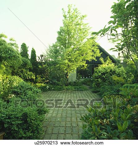 Stock Image - Stone paving in small country green garden in summer. Fotosearch