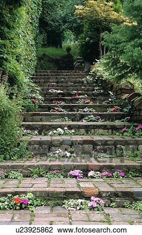 Stone steps in country garden in summer View Large Photo Image Stock Image - Stone steps in country garden in summer. Fotosearch