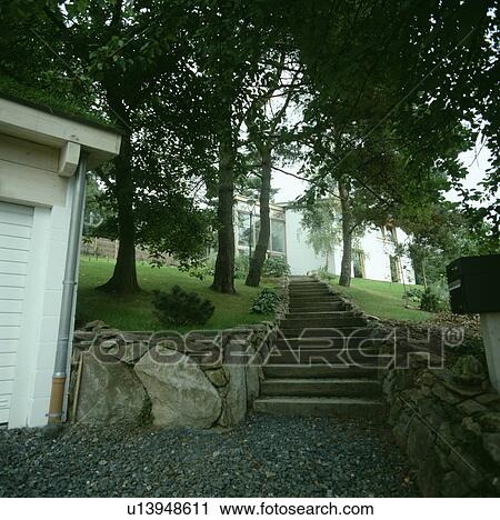 Stone steps through trees to white country house View Large Photo Image Stock Image - Stone steps through trees to white country house. Fotosearch