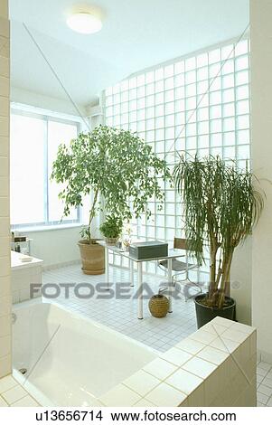 Sunken bath in modern white bathroom with large houseplants and glass brick wall View Large Photo Image Picture - Sunken bath in modern white bathroom with large houseplants and glass brick wall. Fotosearch