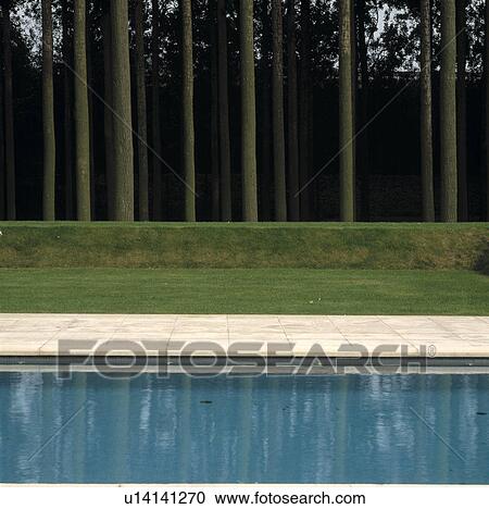 Swimming pool in front of straight trees in woodland View Large Photo Image Stock Image - Swimming pool in front of straight trees in woodland. Fotosearch