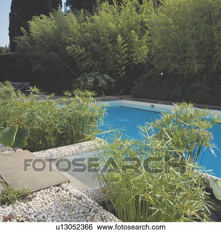 Stock Photograph - Swimming pool in large country garden. Fotosearch