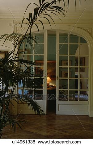 Tall house plant in front of white hall with glazed double doors to living room with lighted lamp View Large Photo Image Stock Photo - Tall house plant in front of white hall with glazed double doors to living room with lighted lamp. Fotosearch