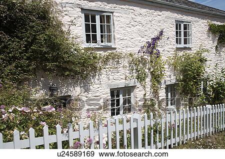 Traditional white English stone cottage with pale grey picket fence View Large Photo Image Stock Photo - Traditional white English stone cottage with pale grey picket fence. Fotosearch