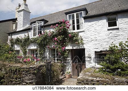 Traditional white stone cottage with pink climbing rose over the door View Large Photo Image Picture - Traditional white stone cottage with pink climbing rose over the door. Fotosearch