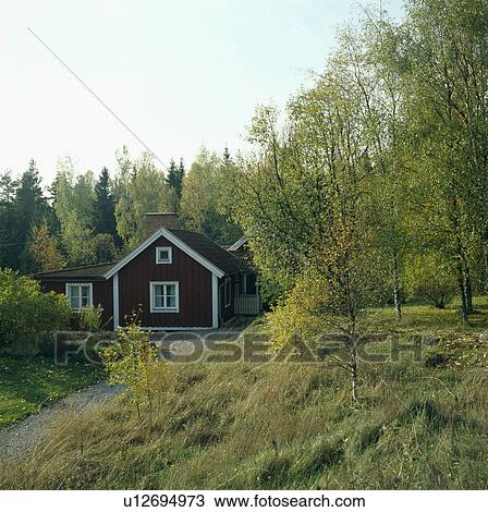 Stock Image - Traditional wooden Scandinavian house in woodland. Fotosearch