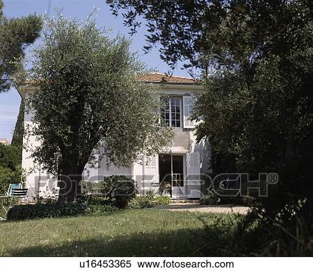 Tree on lawn in front of traditional country house in France with white shutters View Large Photo Image Stock Photography - Tree on lawn in front of traditional country house in France with white shutters. Fotosearch