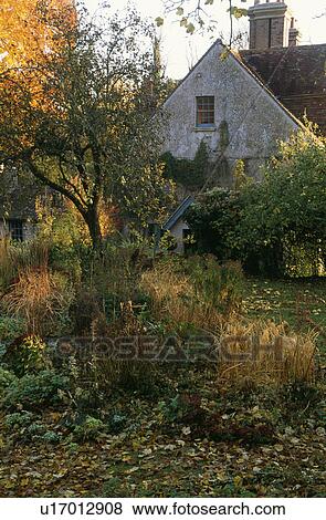 Trees in garden of traditional house in Autumn View Large Photo Image Stock Photo - Trees in garden of traditional house in Autumn. Fotosearch