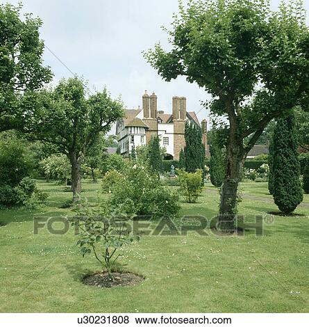 Stock Photo - Trees planted in large lawn with large country house in the background. Fotosearch
