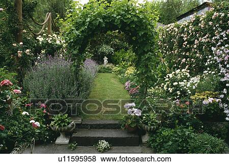 Vine growing on arch in walled town garden in summer View Large Photo Image Stock Photo - Vine growing on arch in walled town garden in summer. Fotosearch
