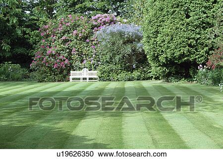 Stock Image - White bench on lawn in large country garden in spring. Fotosearch