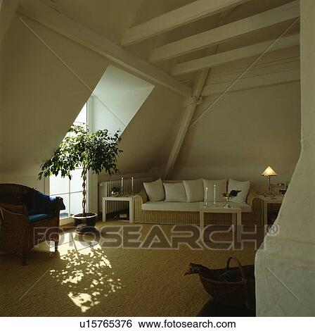 White cushions on cane sofa in modern attic conversion living room View Large Photo Image Stock Photograph - White cushions on cane sofa in modern attic conversion living room. Fotosearch
