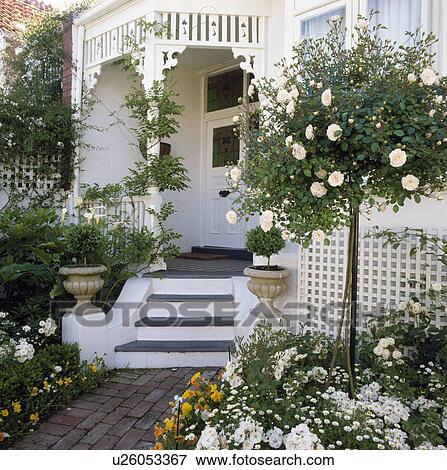 White painted verandah and exterior of house with all white garden in front with standard rose View Large Photo Image Stock Photo - White painted verandah and exterior of house with all white garden in front with standard rose. Fotosearch
