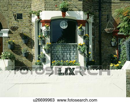 White wall in front of Victorian terraced townhouse with yellow tagetes in pots on bay window View Large Photo Image Stock Image - White wall in front of Victorian terraced townhouse with yellow tagetes in pots on bay window. Fotosearch