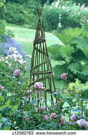 Willow wigwam and pink roses in country garden in summer View Large Photo Image Stock Image - Willow wigwam and pink roses in country garden in summer. Fotosearch