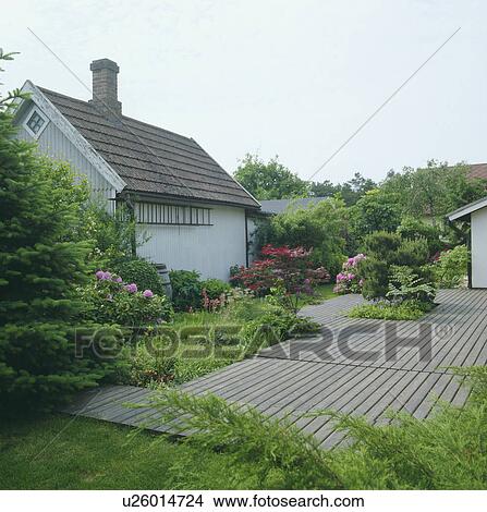 Wooden decking in country cottage garden in spring View Large Photo Image Picture - Wooden decking in country cottage garden in spring. Fotosearch