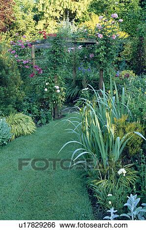 Wooden pergola and grass path in country garden in summer View Large Photo Image Stock Photograph - Wooden pergola and grass path in country garden in summer. Fotosearch