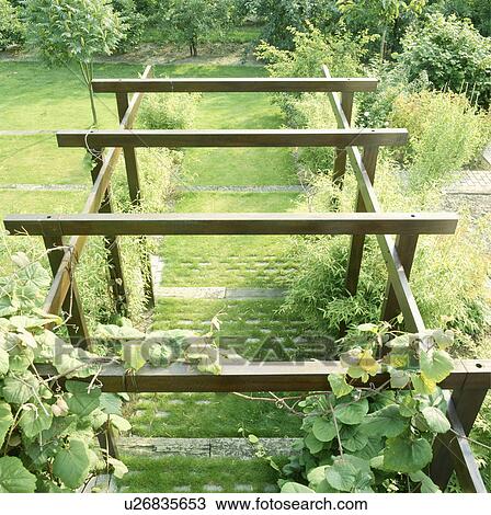 Wooden pergola in country garden in summer View Large Photo Image Stock Image - Wooden pergola in country garden in summer. Fotosearch