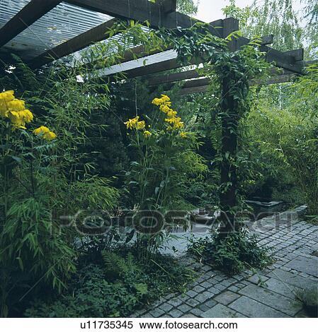 Wooden pergola in country garden in summer View Large Photo Image Stock Photography - Wooden pergola in country garden in summer. Fotosearch