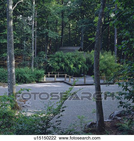 Woodland garden with paths and groundcover of raked gravel View Large Photo Image Stock Image - Woodland garden with paths and groundcover of raked gravel . Fotosearch