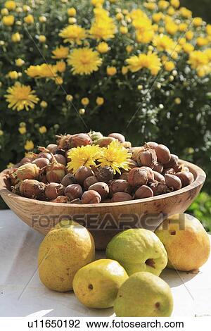 Yellow, gardens, food, fruit, harvest View Large Photo Image Stock Image - Yellow, gardens, food, fruit, harvest. Fotosearch